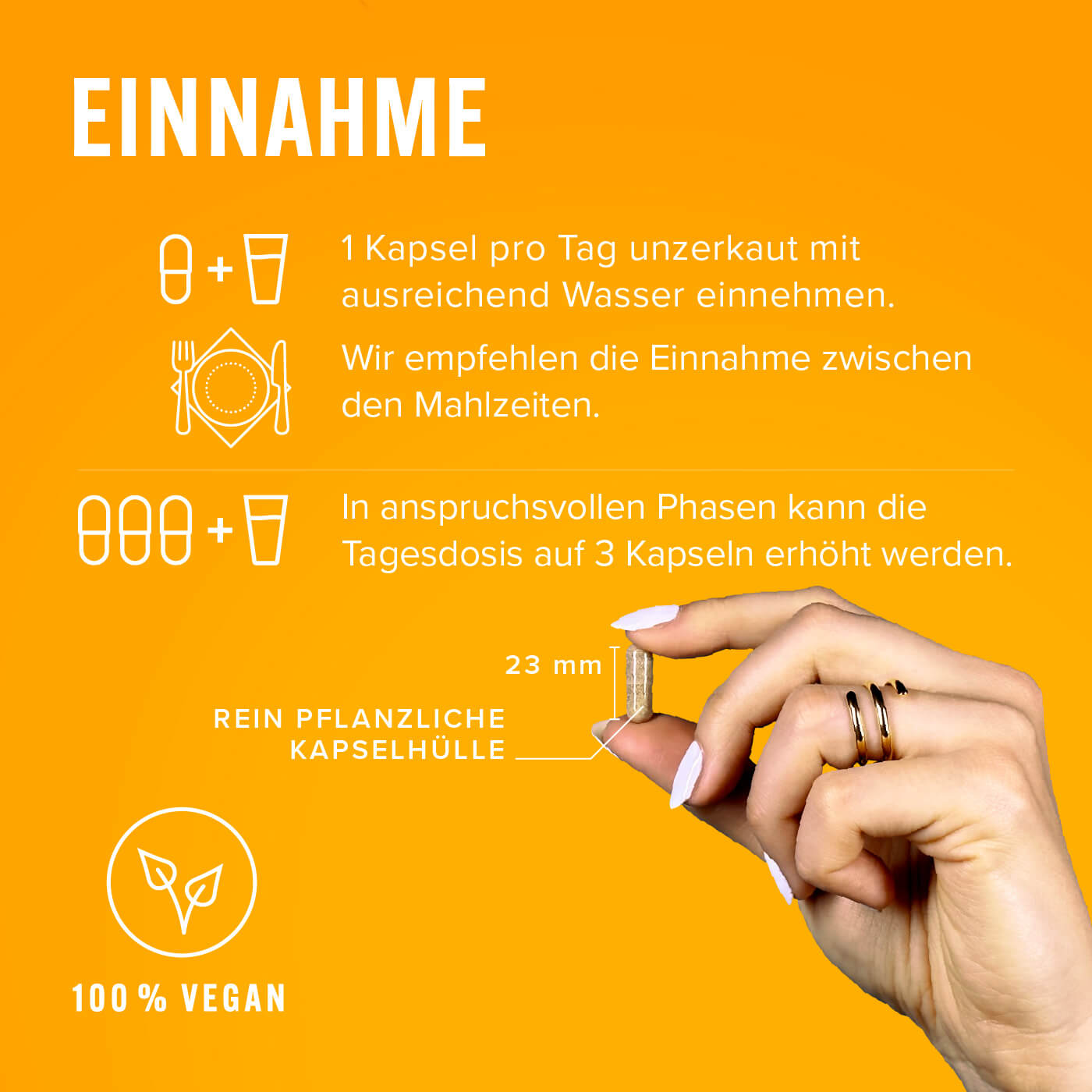 Dynabrain – Einnnahme Empfehlung