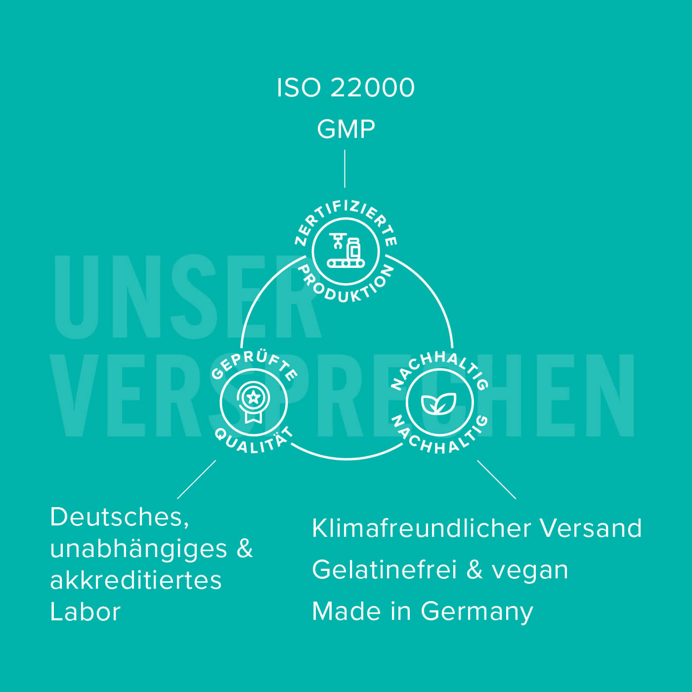 Shape'rgy – Unser Versprechen