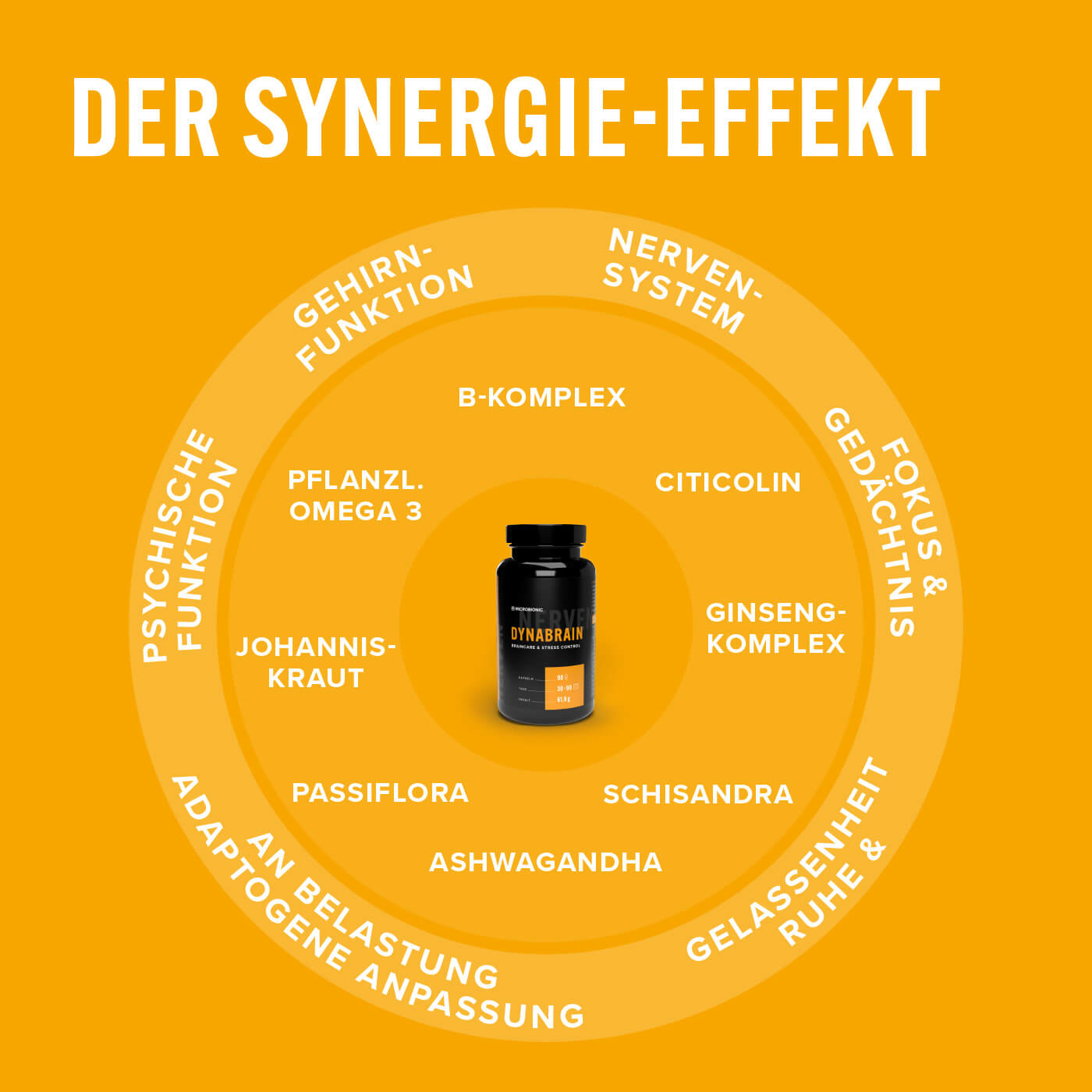 Dynabrain – Synergie-Effekt