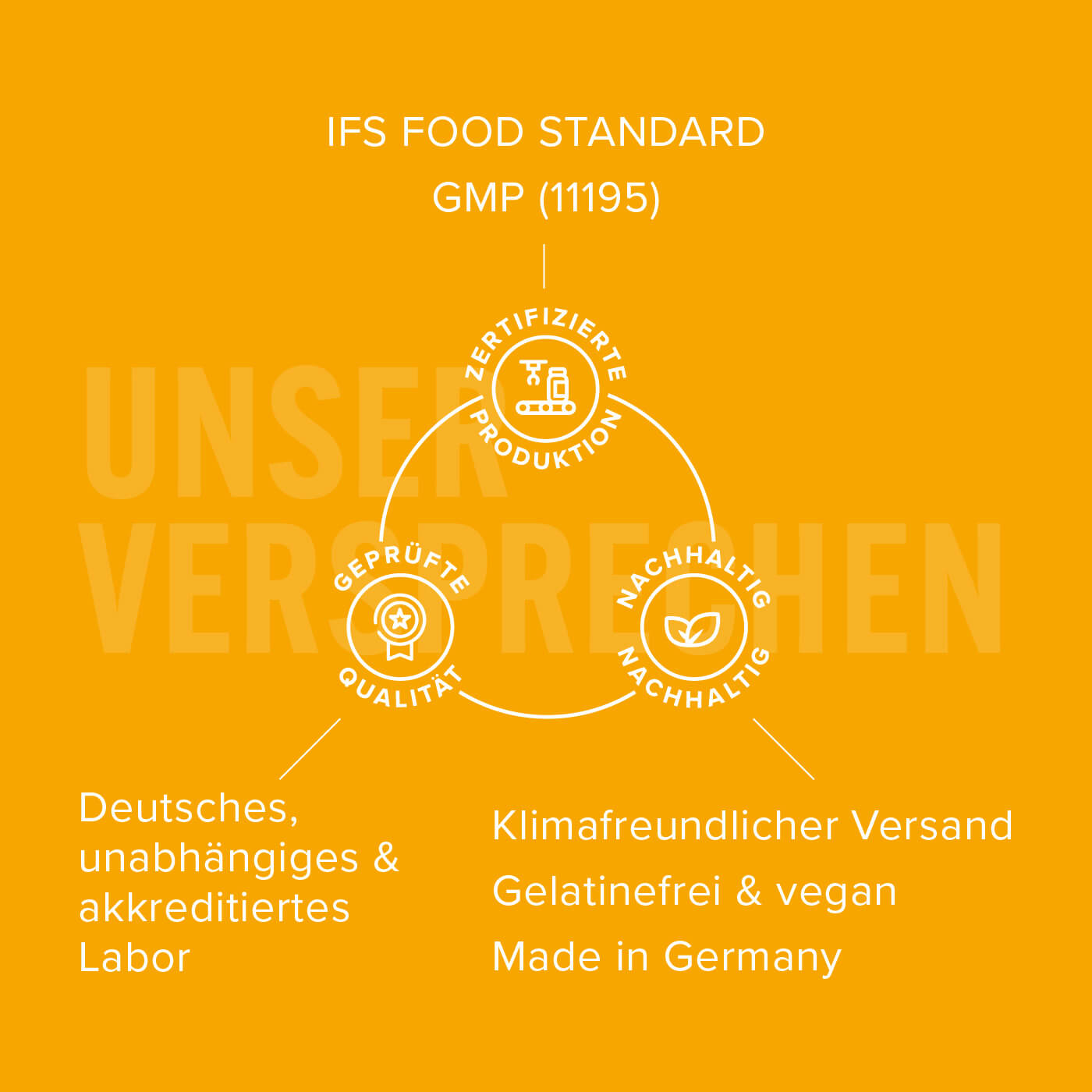 Dynabrain – Unser Versprechen