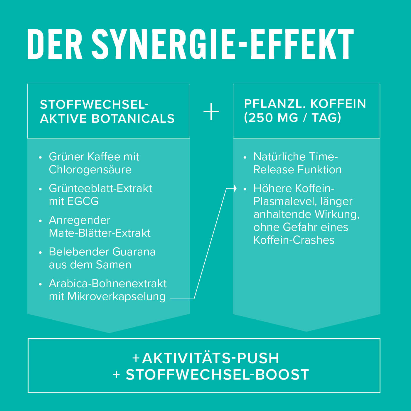 Shape'rgy – Synergie-Effekt