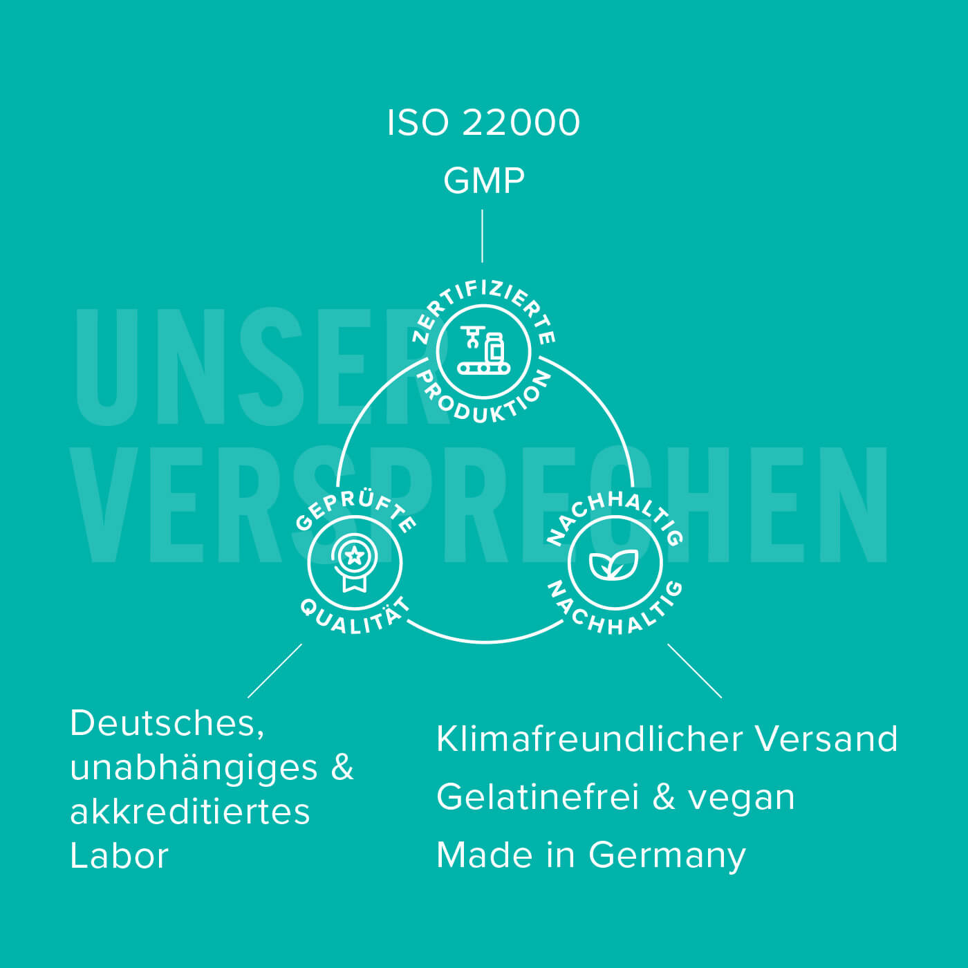 Glucogreen – Unser Versprechen